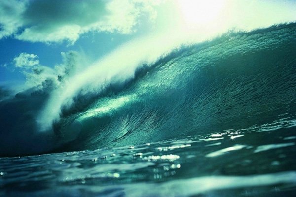 万能青年旅店的歌曲杀死那个石家庄人的歌词是什么意思?