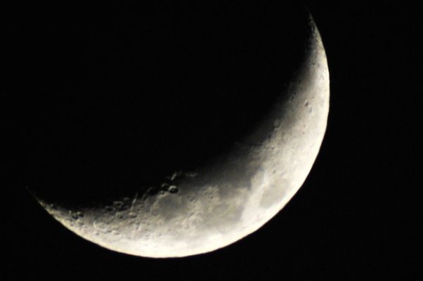 月字偏旁的字大多和什么有关