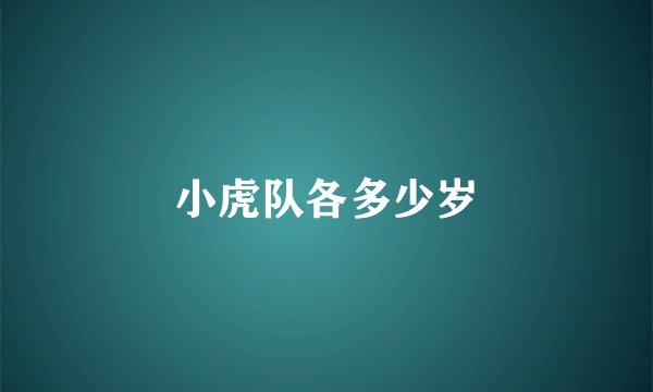 小虎队各多少岁