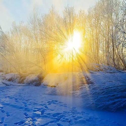 呼伦贝尔冻冒烟了！为何这个地方气温能到零下四十多度？