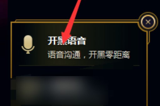 LOL内置QT语音点击开启，但游戏里还是没有。