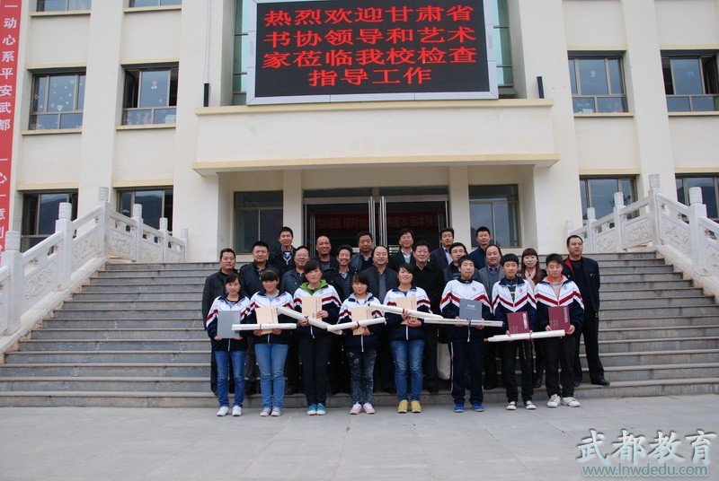 武都八一中学的介绍