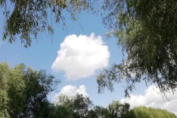 处暑时节, 民间有“七月八月看巧 云”之说,“巧云”是指哪种云