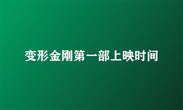 变形金刚第一部上映时间