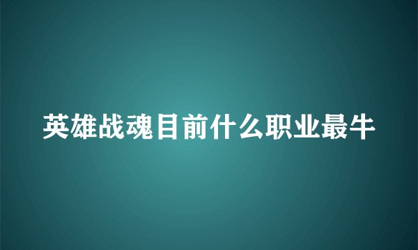 英雄战魂目前什么职业最牛