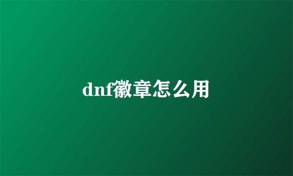 dnf徽章怎么用