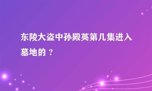 东陵大盗中孙殿英第几集进入墓地的 ?
