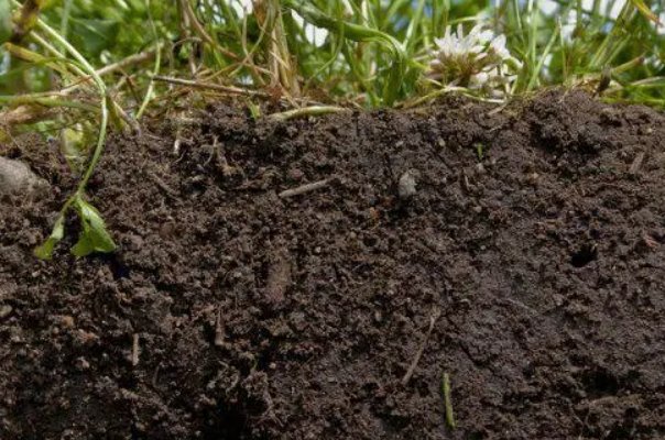 土壤ph值的测定方法