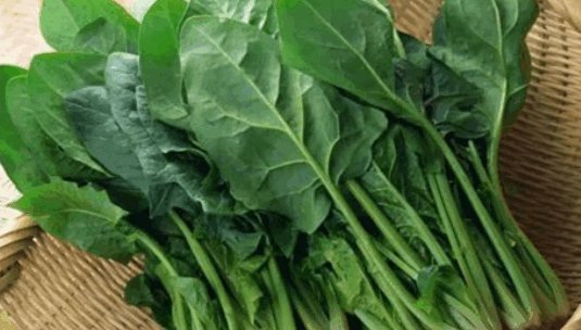 8月9月该种什么蔬菜?