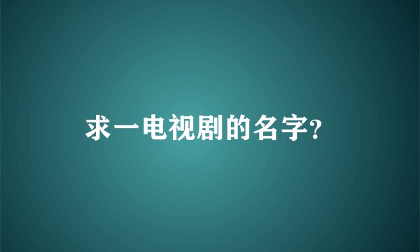 求一电视剧的名字？