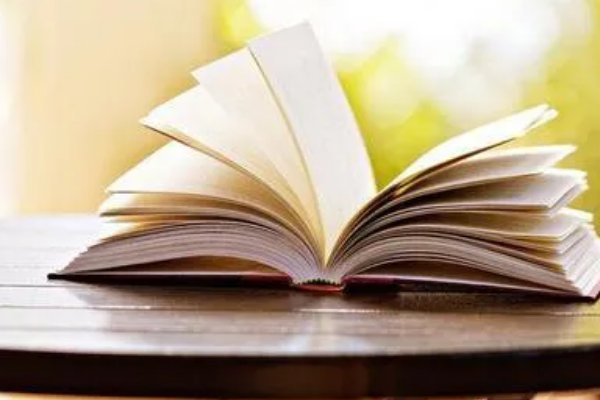 网络作家排行榜