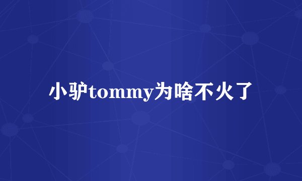 小驴tommy为啥不火了
