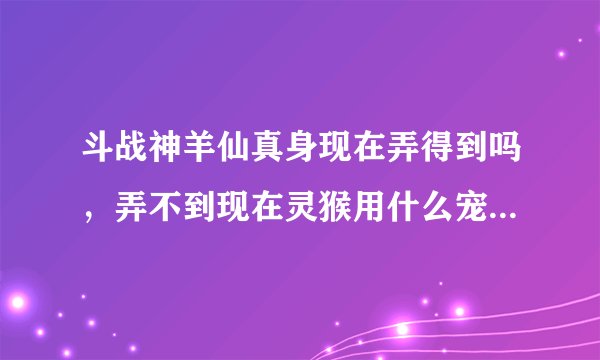 斗战神羊仙真身现在弄得到吗，弄不到现在灵猴用什么宠物，还有求灵猴棍系加点