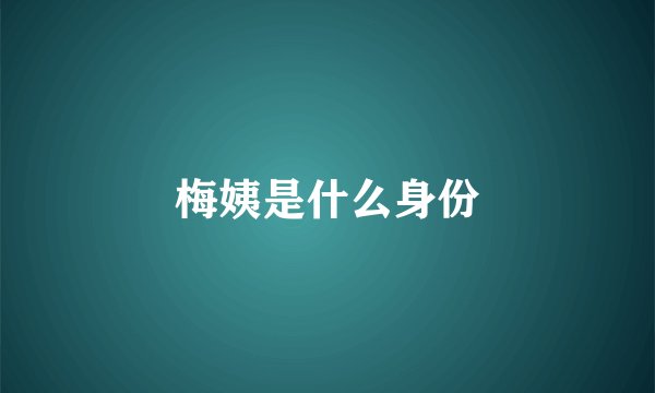 梅姨是什么身份