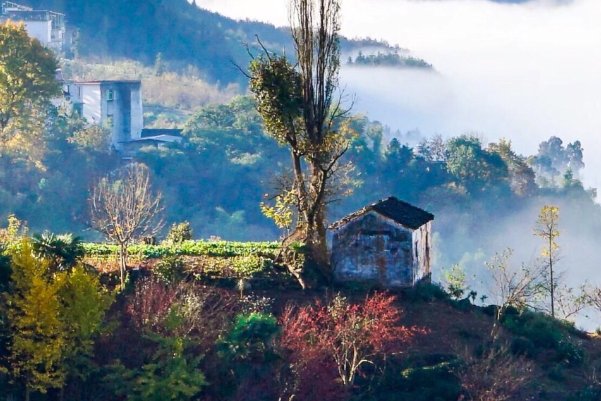 山寨是什么意思