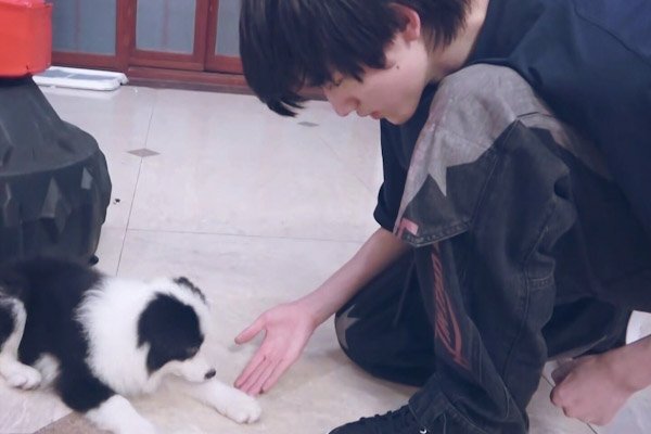 宋亚轩荧屏初吻贡献给宠物，他到底有多喜欢自己的狗狗？