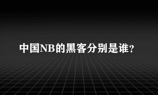 中国NB的黑客分别是谁？