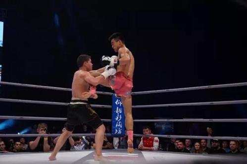 《武林风》直到最新一期有哪些重要的赛事？