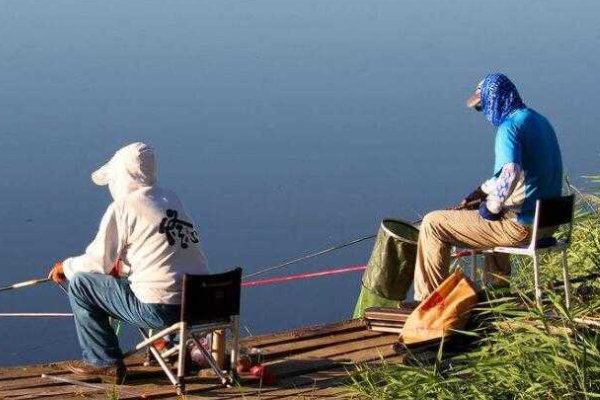 阿魏最适合钓什么鱼