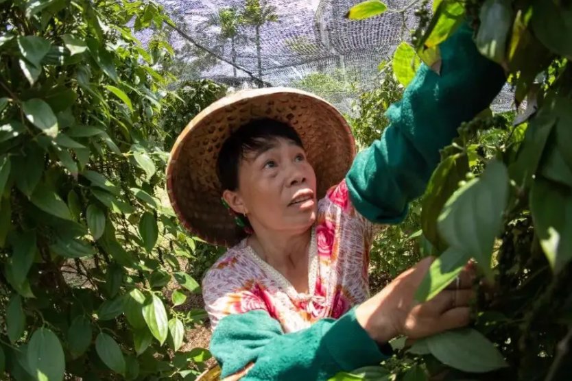 坚持多劳多得鼓励勤劳致富促进什么