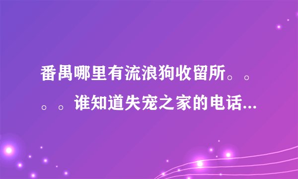 番禺哪里有流浪狗收留所。。。。谁知道失宠之家的电话跟地址？？