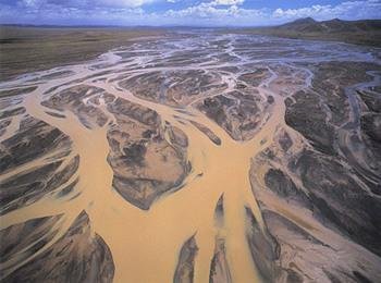 黄河鱽鱼现身黄河口，黄鱽鱼适合在什么样的环境下生存？