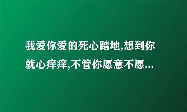 我爱你爱的死心踏地,想到你就心痒痒,不管你愿意不愿意是什么歌