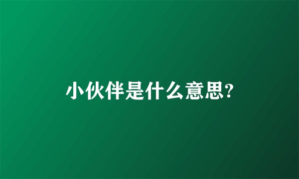 小伙伴是什么意思?