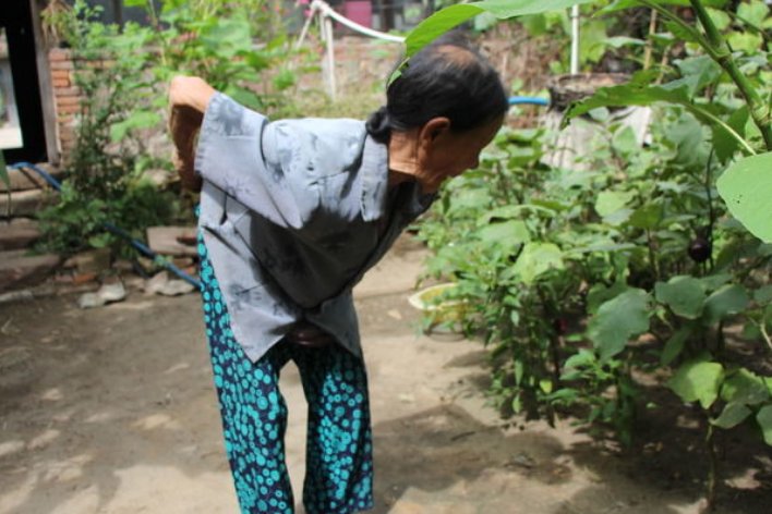 拘的部首和组词拼音