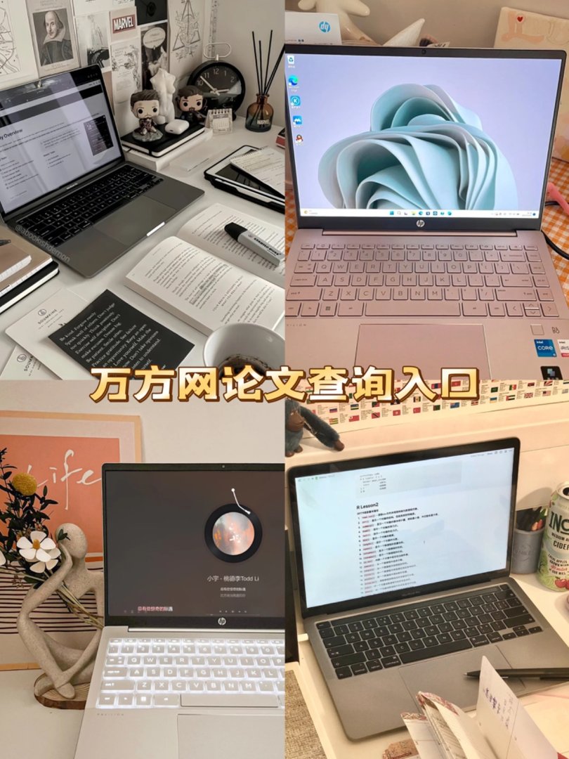 万方网的论文查询入口在哪里？