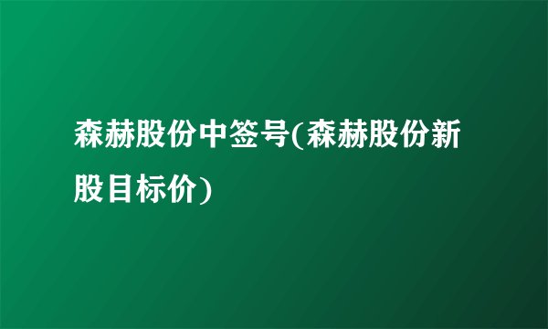 森赫股份中签号(森赫股份新股目标价)