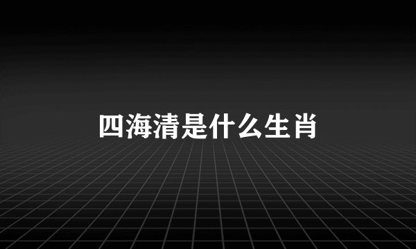 四海清是什么生肖