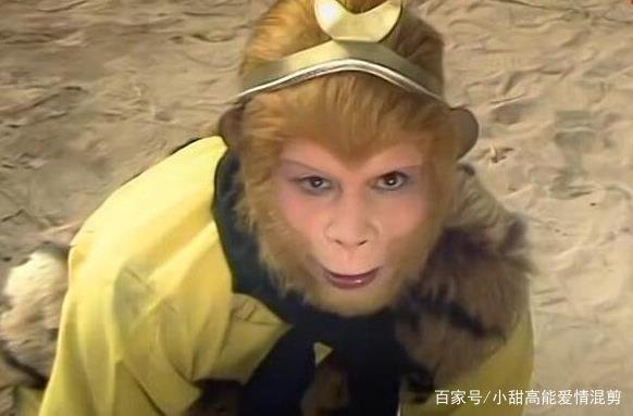 是什么样的原因导致了猪八戒投胎之后变成了一只猪？