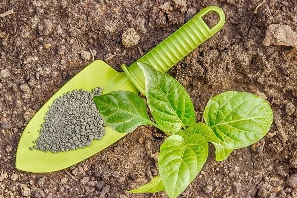 叶面肥排名榜前十名