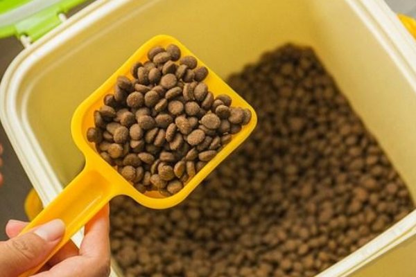 GO猫粮疑质量问题导致猫咪死亡，出问题的批次有哪些？