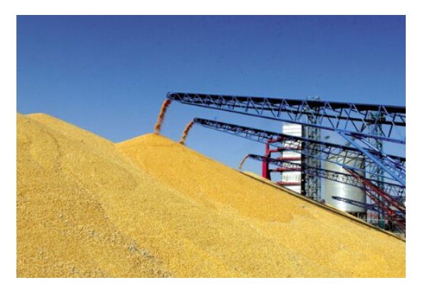 某公司回应粮食出现质量问题，这是怎么回事？