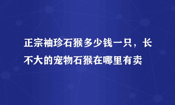 正宗袖珍石猴多少钱一只，长不大的宠物石猴在哪里有卖