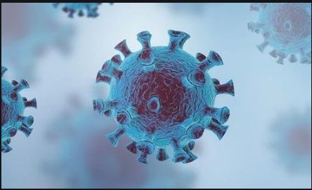 2019年什么时候爆发的疫情