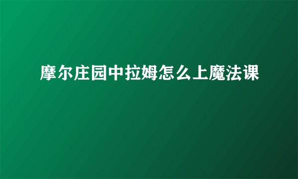 摩尔庄园中拉姆怎么上魔法课