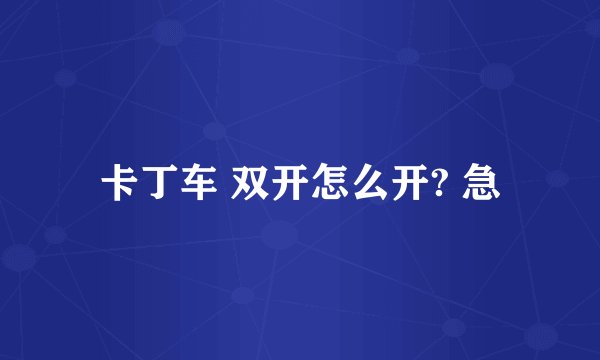 卡丁车 双开怎么开? 急
