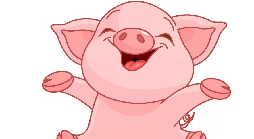 霞光万道是什么生肖?