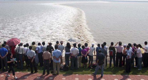 观潮这篇课文中从午后一点左右,过了一会等词语可以看出作者是按什么顺序来写