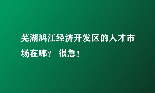 芜湖鸠江经济开发区的人才市场在哪？ 很急！