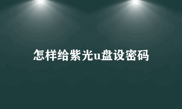 怎样给紫光u盘设密码