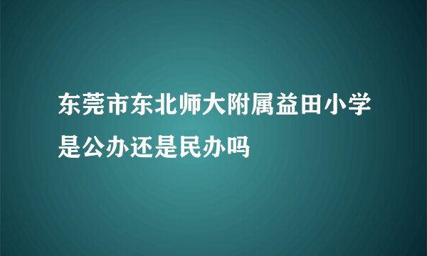 东莞市东北师大附属益田小学是公办还是民办吗