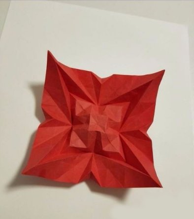 胜利花怎么做？要详细过程