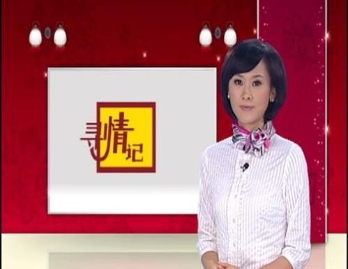 《寻情记》是什么？