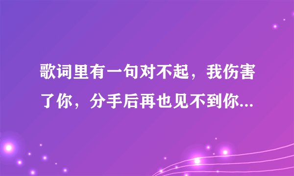 歌词里有一句对不起，我伤害了你，分手后再也见不到你，是什么歌？