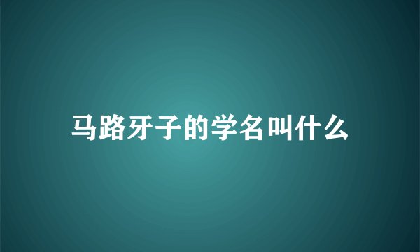 马路牙子的学名叫什么
