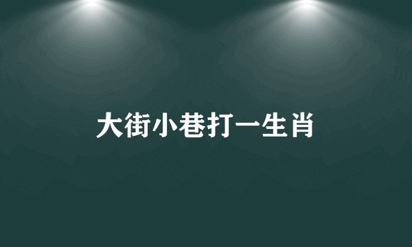 大街小巷打一生肖